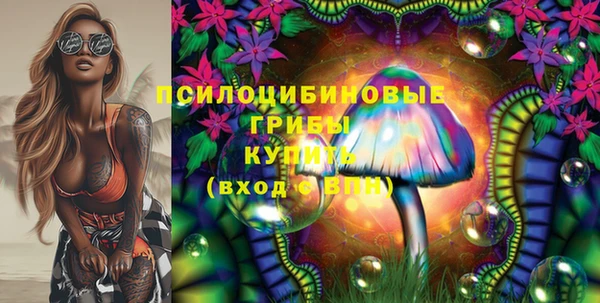 синтетический гашиш Алексеевка