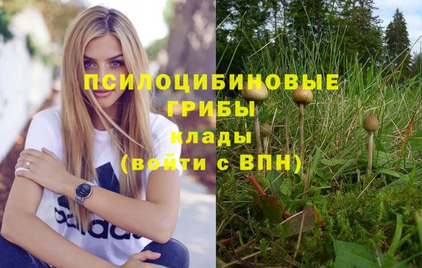 синтетический гашиш Алексеевка