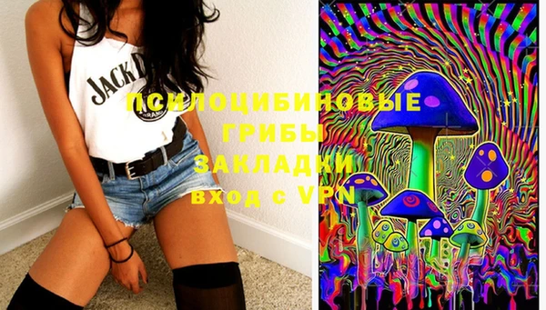 синтетический гашиш Алексеевка