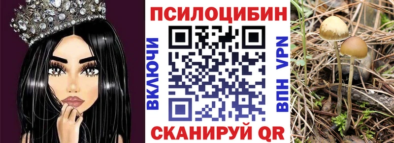магазин  наркотиков  Омутнинск  Галлюциногенные грибы Psilocybine cubensis 